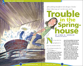 Trouble in the Springhouse