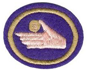 stewardship-patch