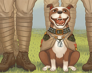 dog