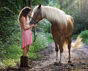 horse-attach