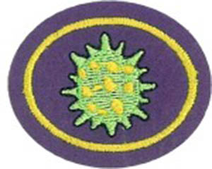 Virus-attach