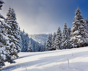 snow